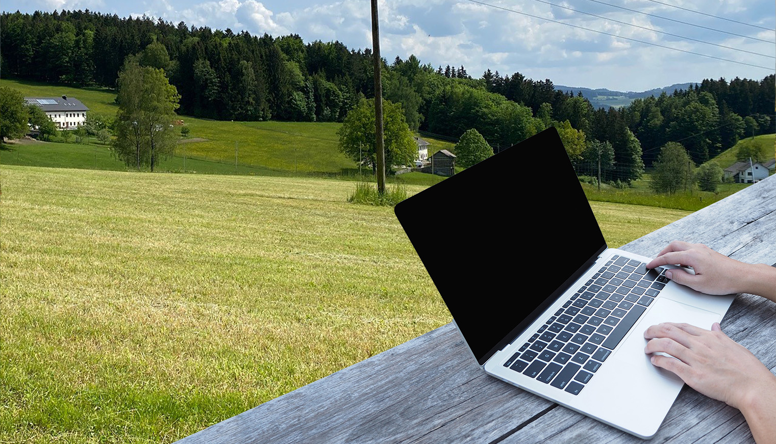 AdobeStock_408483270_Onlinekurse.png © stock.adobe.com / LFI