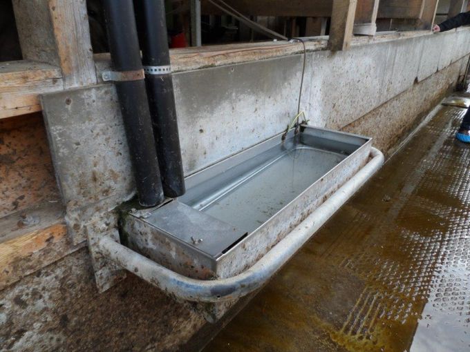 02 Wasser Tränkebecken_Mandl.jpg © Johanna Mandl/LK Niederösterreich