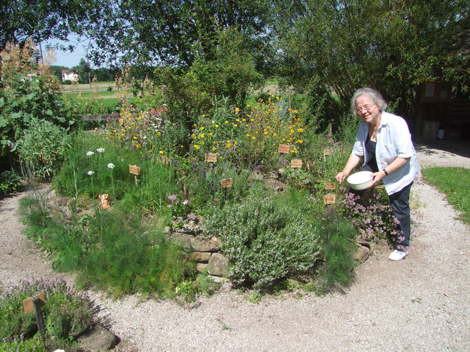 Kräutergarten Anthering.jpg © Standl