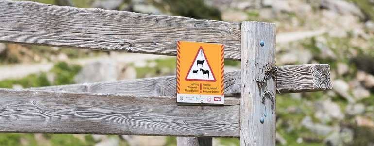 Hinweistafel: Achtung Weidetiere © Die Fotografen