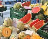 sb32_mt_melone.jpg © Dürnberger