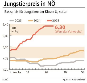 Grafik Stierpreis 32_2025.jpg © LK NÖ
