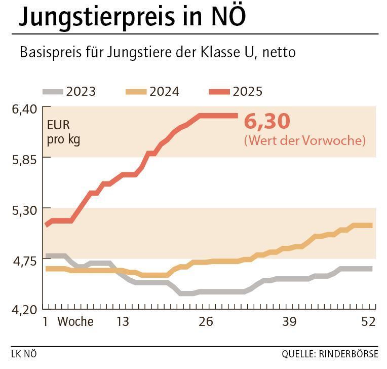 Grafik Stierpreis 32_2025.jpg © LK NÖ