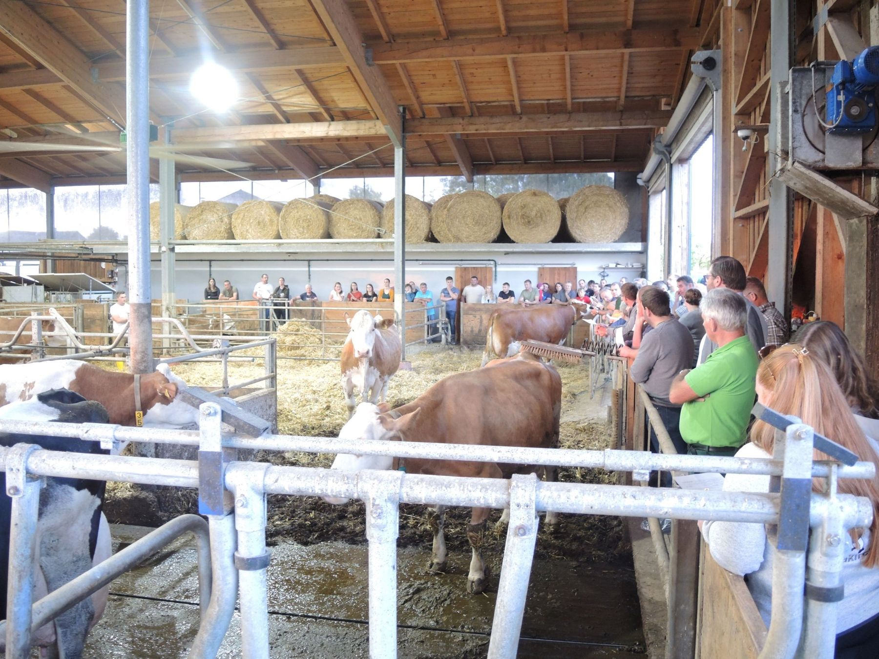 DSCN3835.jpg © Alexander Wurm DSCN3835.jpg © Alexander Wurm