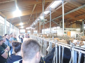 DSCN3837.jpg © Alexander Wurm DSCN3837.jpg © Alexander Wurm