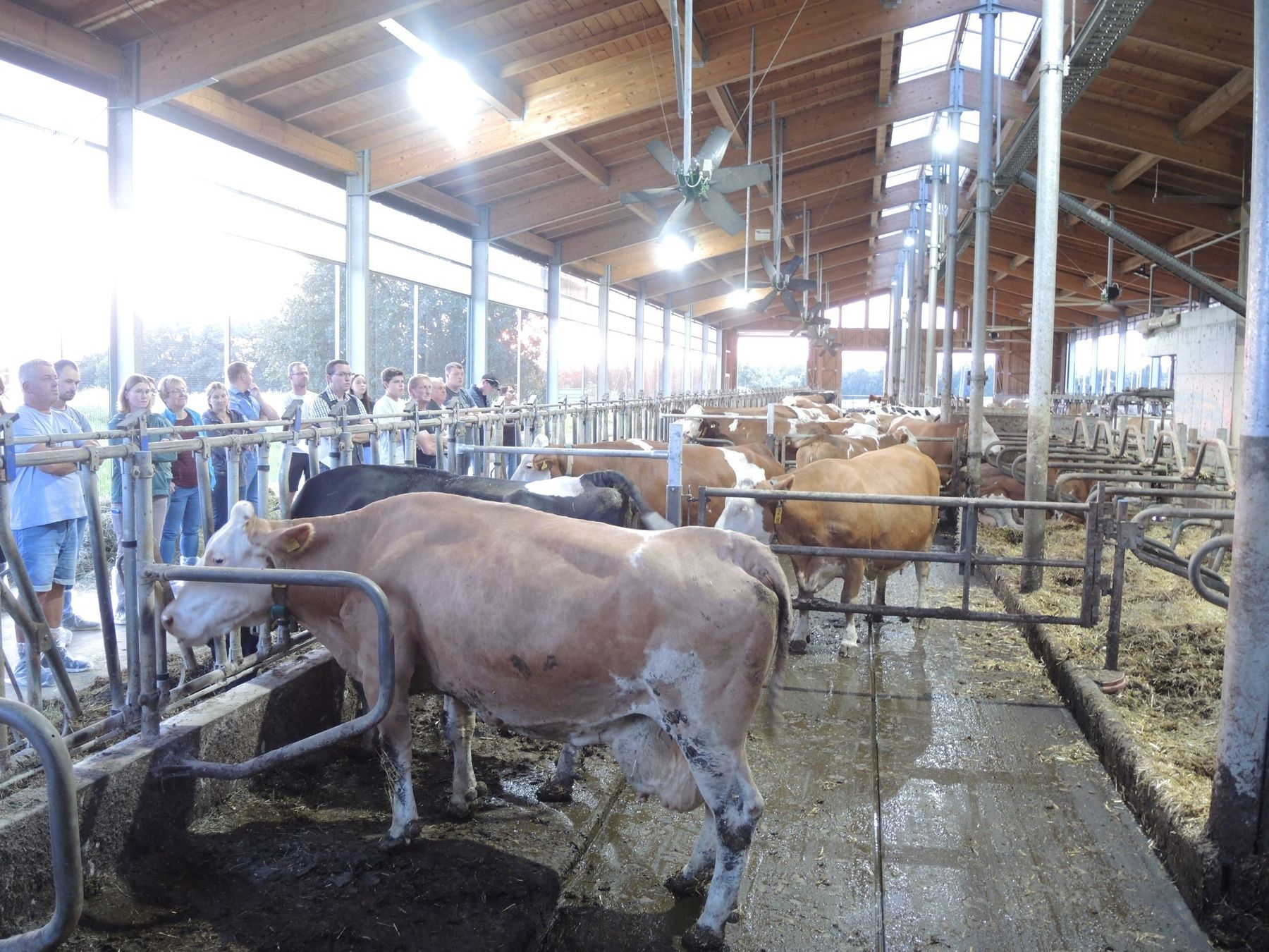 DSCN3841.jpg © Alexander Wurm DSCN3841.jpg © Alexander Wurm