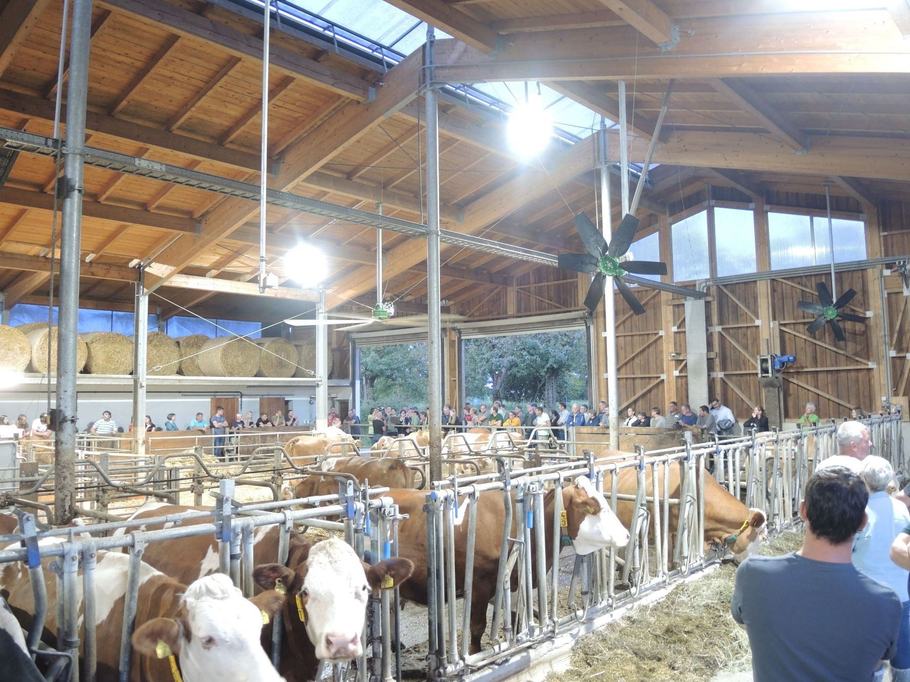 DSCN3845.jpg © Alexander Wurm DSCN3845.jpg © Alexander Wurm