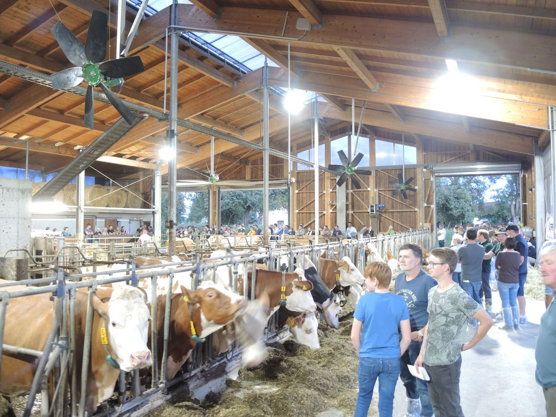 DSCN3846.jpg © Alexander Wurm DSCN3846.jpg © Alexander Wurm