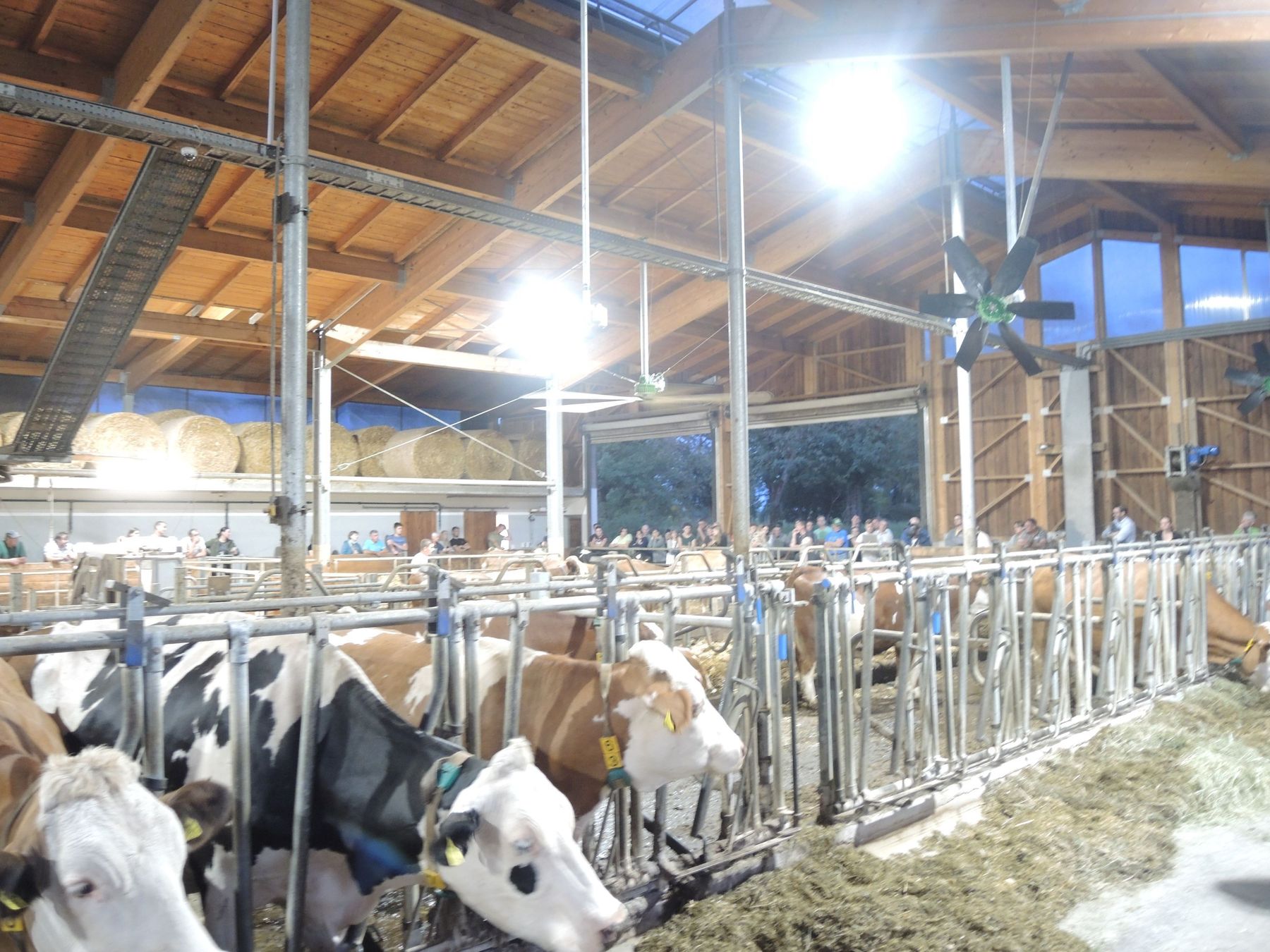 DSCN3860.jpg © Alexander Wurm DSCN3860.jpg © Alexander Wurm