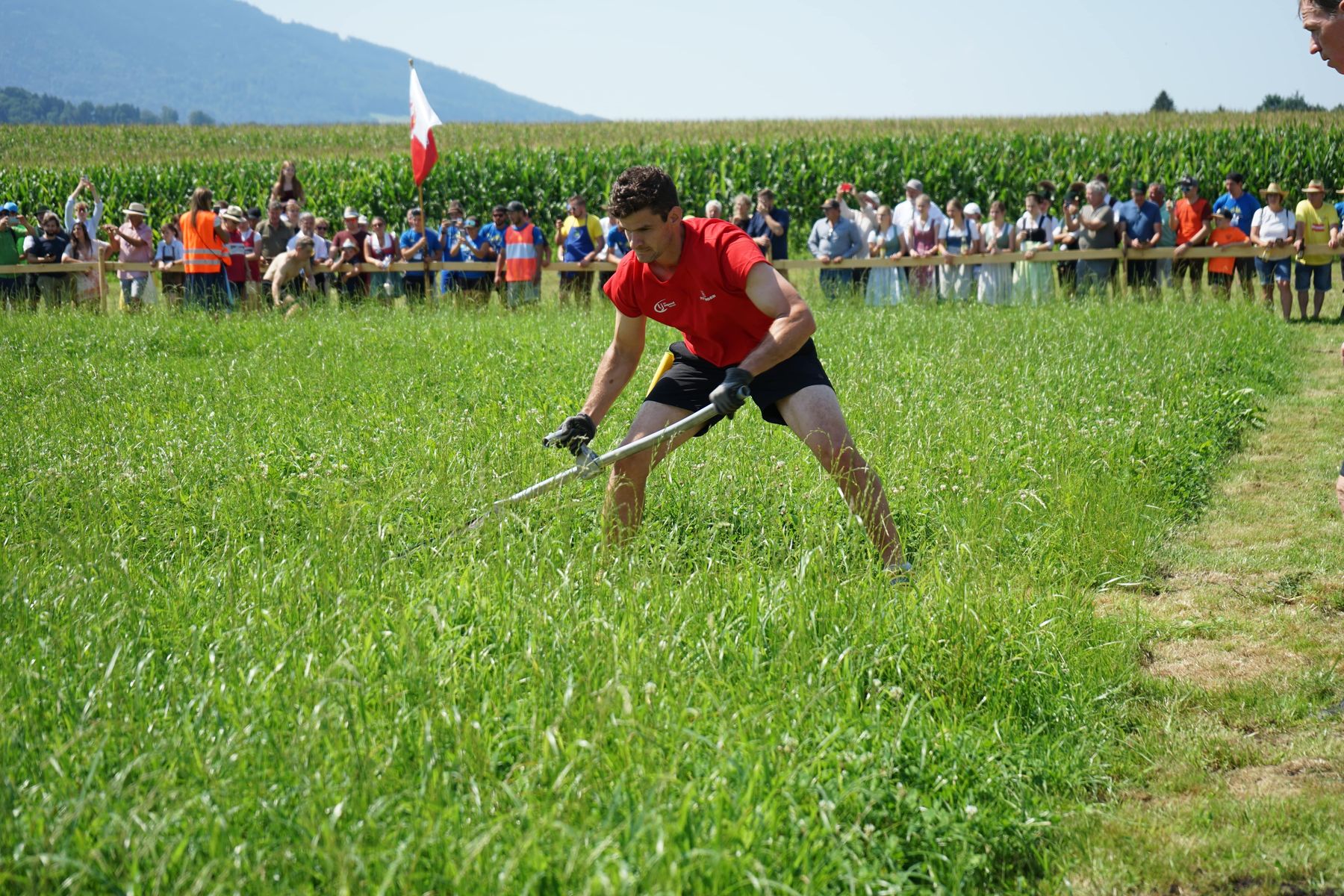 Andreas Schützenhofer beim Mähen © Landjungend