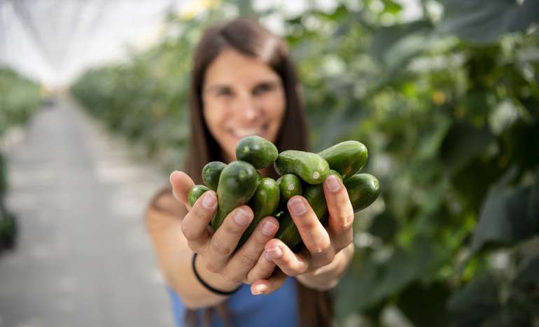Frau mit Gurken in der Hand © AMA Marketing