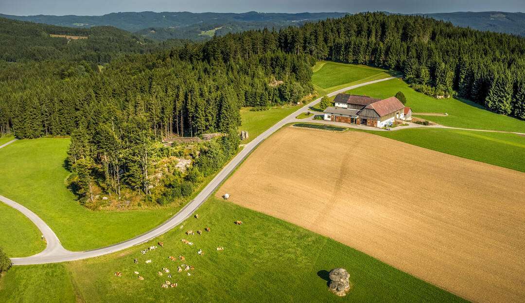 Grünland.jpg © René van Bakel/asablanca.com