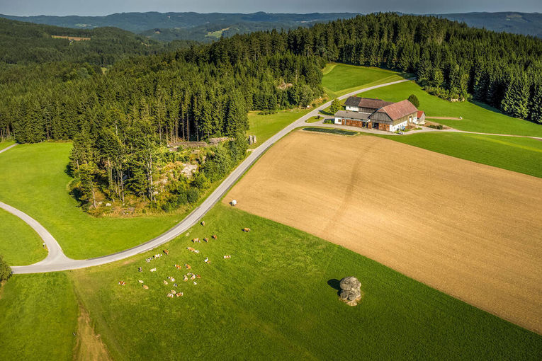 Grünland.jpg © René van Bakel/asablanca.com