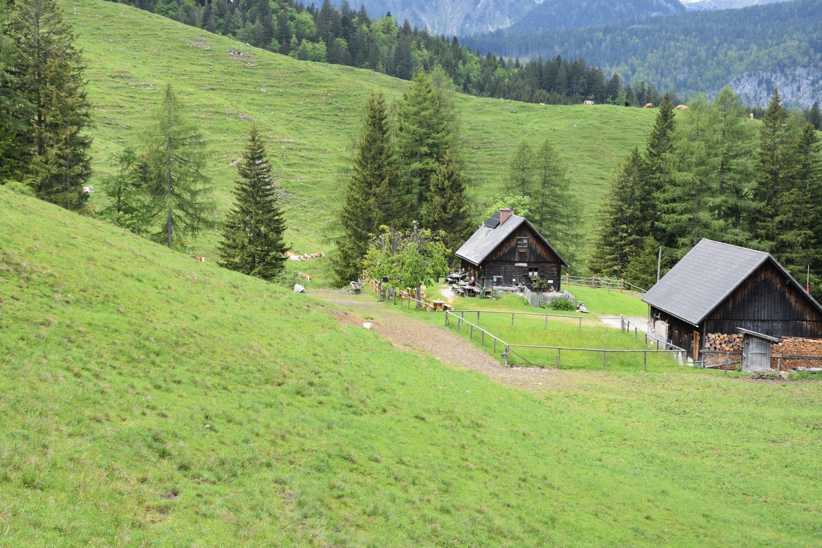 Almzentrum_DSC_0112.jpg © LK OÖ/Limberger