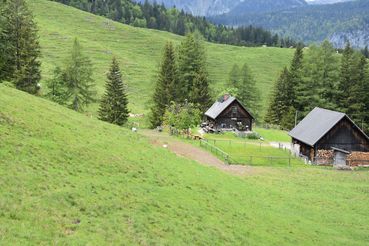 Almzentrum_DSC_0112.jpg © LK OÖ/Limberger