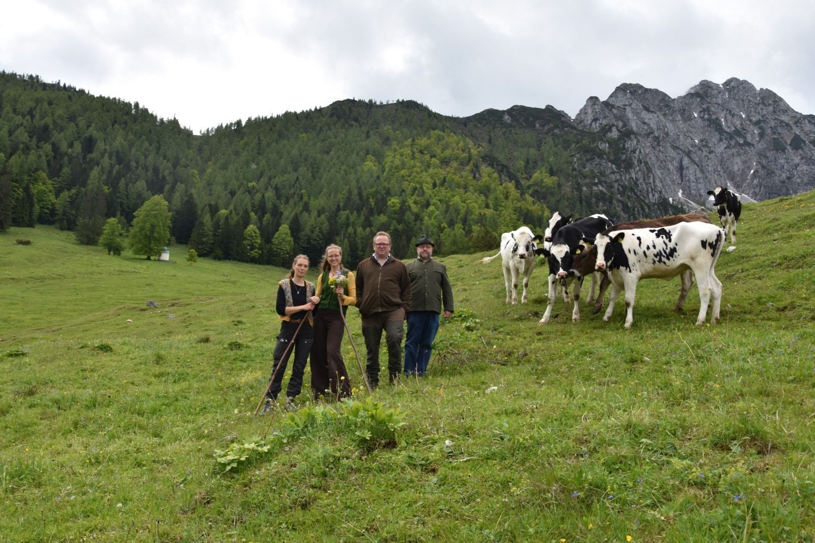 Obm_ObmStv_Halterinnen_AufWeide Richtung_Kapelle und Bosruck_DSC_0035.jpg © LK OÖ/Limberger