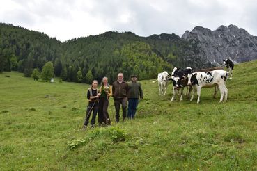 Obm_ObmStv_Halterinnen_AufWeide Richtung_Kapelle und Bosruck_DSC_0035.jpg © LK OÖ/Limberger