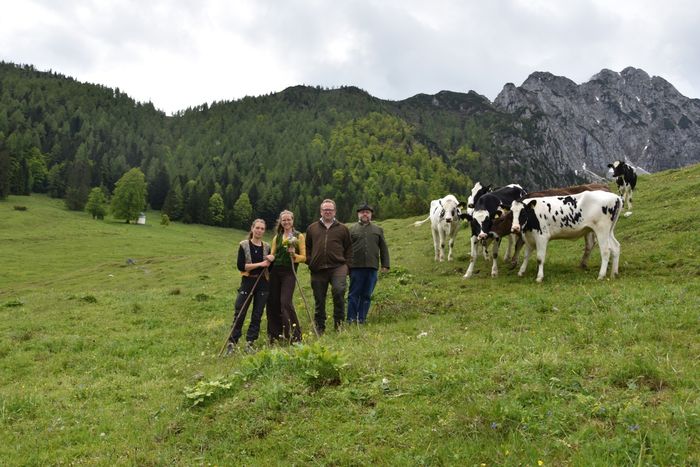 [1754992428629452_1.jpg]