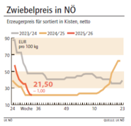 Grafik Zwiebelpreis 33/2025.png © LK NÖ