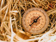 Trendradar © Herzlichkeit Photography