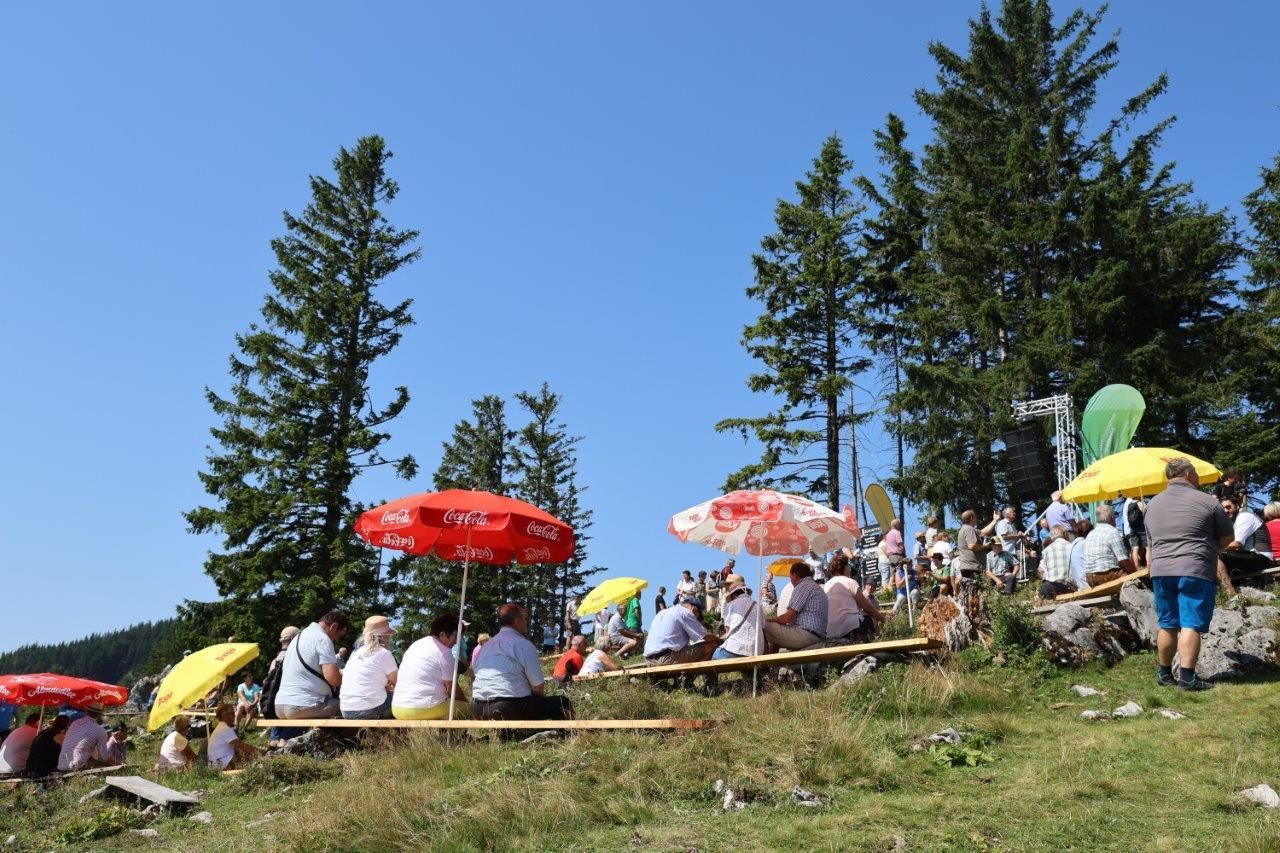 © Paula Pöchlauer-Kozel/LK Niederösterreich