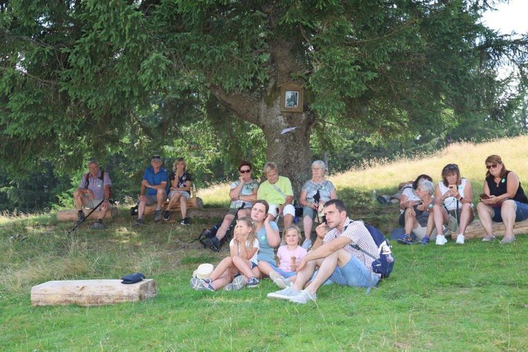 © Paula Pöchlauer-Kozel/LK Niederösterreich © Paula Pöchlauer-Kozel/LK Niederösterreich