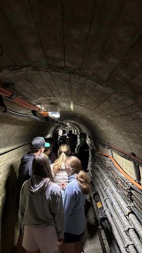© SZZV KÄRNTEN, Liebchen, Schafe   Ziegen Aktuell