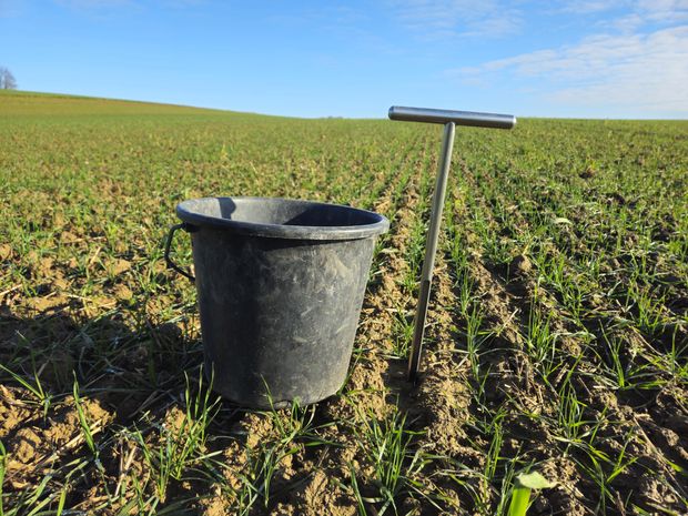 [175559273720251_7.jpg]