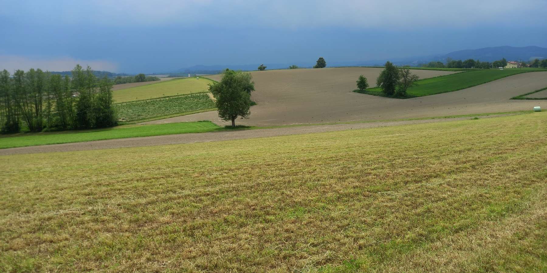 Landschaft Acker + Grünland.jpg © LK OÖ/Mandl
