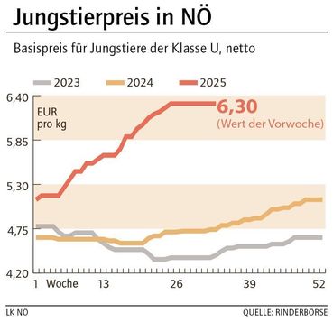 Grafik Stierpreis 34_2025.jpg © LK NÖ