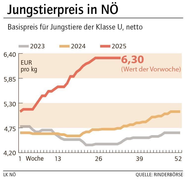 Grafik Stierpreis 34_2025.jpg © LK NÖ