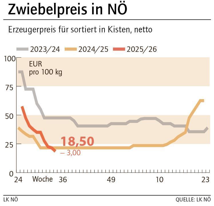 Grafik Zwiebelpreis 34_2025.jpg © LK NÖ Grafik Zwiebelpreis 34_2025.jpg © LK NÖ