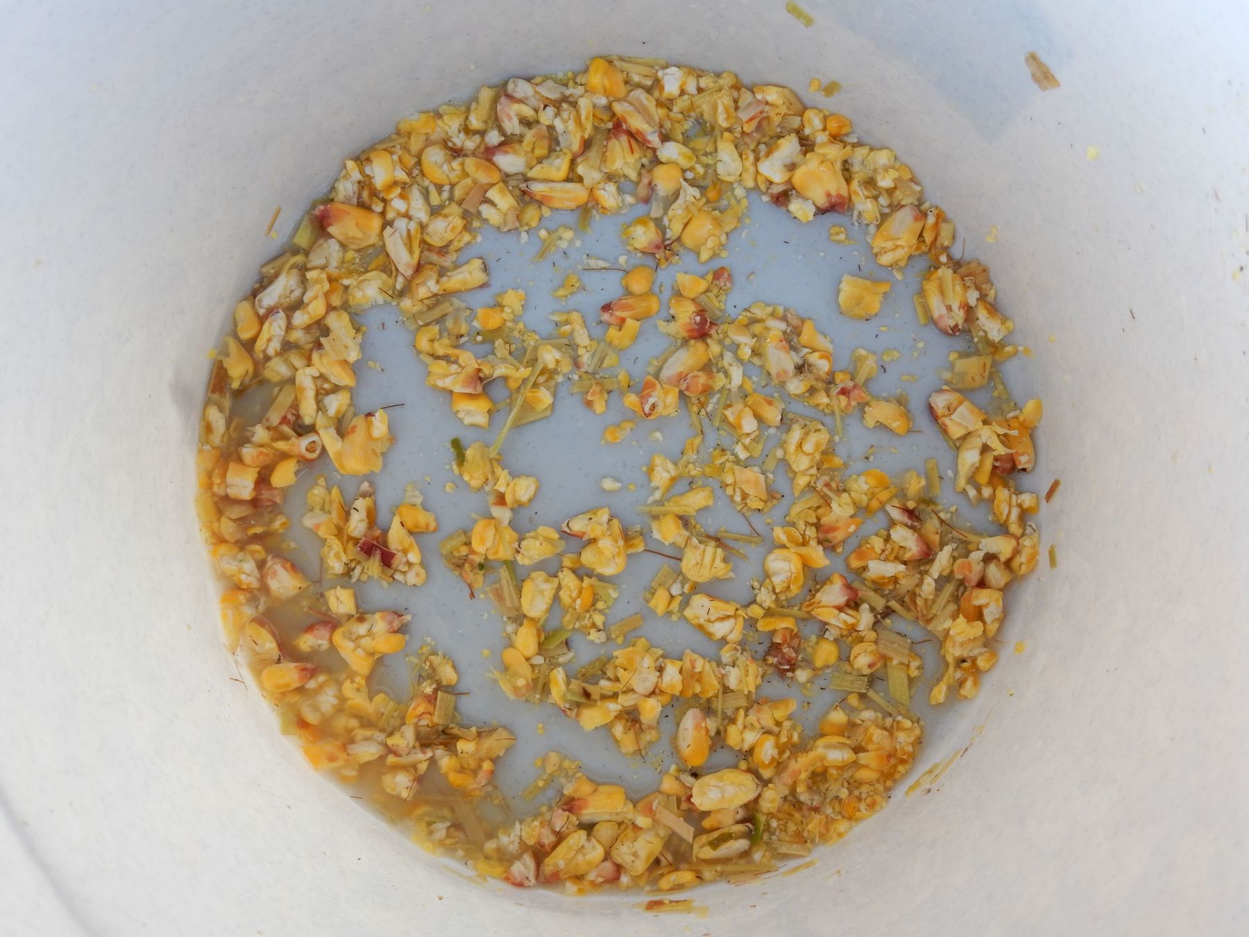 Überrpüfung Körner Silomais.jpg © Stromberger Überrpüfung Körner Silomais.jpg © Stromberger