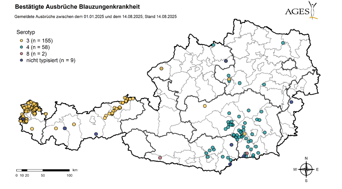 Blauzungen Ausbruchsgeschehen Stand 14.8.2025 © AGES