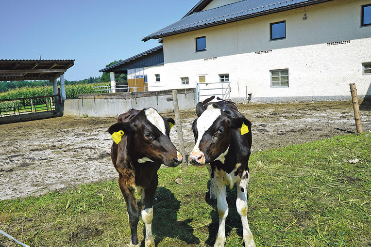 Milchwirtschaft und Gemüseanbau	Hand in Hand.jpg © Archiv