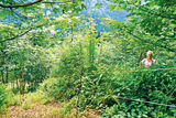 Gebirgsziegen im Schwendeinsatz auf der Alm.jpg © Archiv