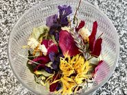 IMG_2464.jpg © Haider IMG_2464.jpg © Haider