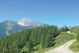 Blasialm Aussicht.jpg © Mooslechner