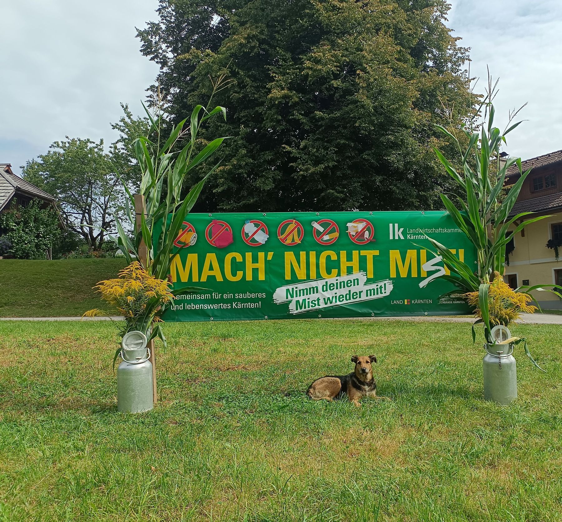 Barbara Duschnig.jpg © Barbara Duschnig Barbara Duschnig.jpg © Barbara Duschnig