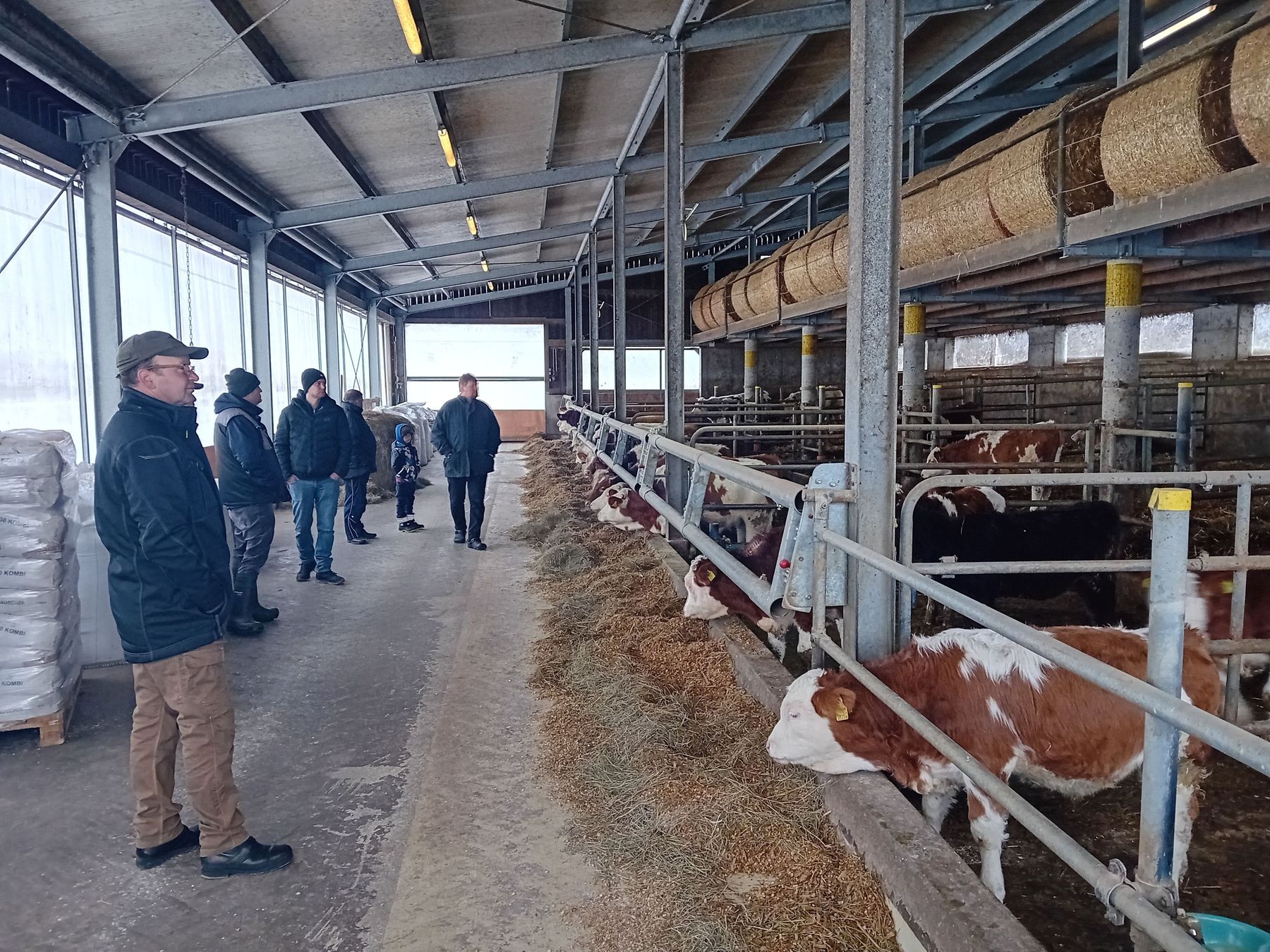 AK Rindermast Betriebsbesichtung.jpg © Gregoritsch AK Rindermast Betriebsbesichtung.jpg © Gregoritsch