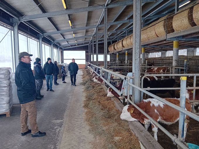 AK Rindermast Betriebsbesichtung.jpg © Gregoritsch AK Rindermast Betriebsbesichtung.jpg © Gregoritsch