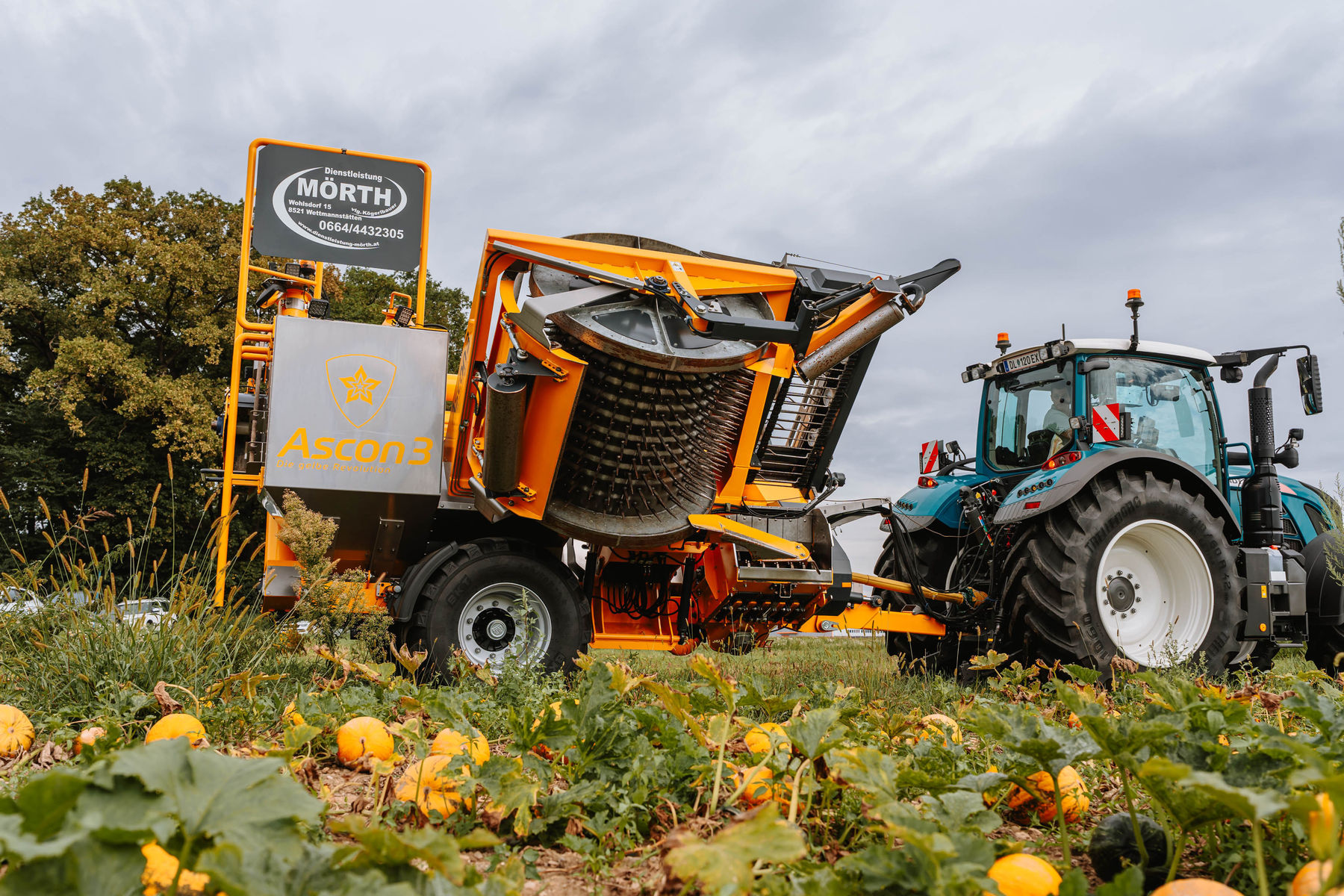 © LK Steiermark-Nadja Fuchs