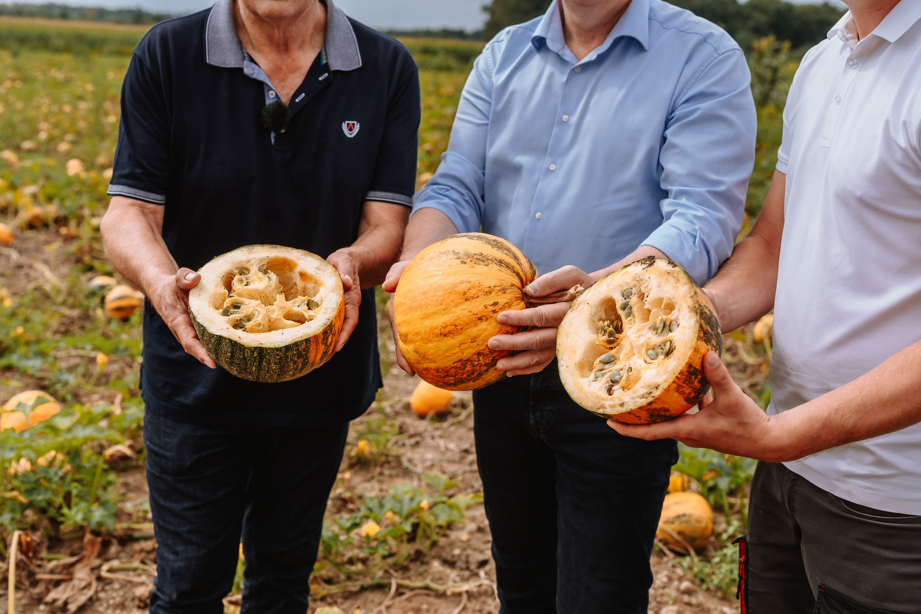 © LK Steiermark-Nadja Fuchs