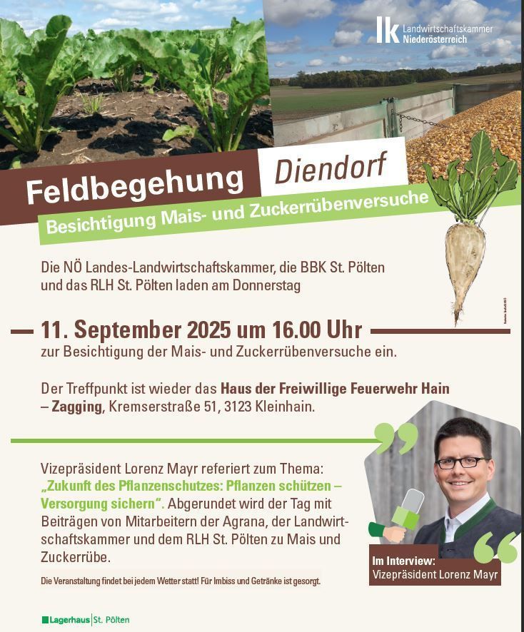 Feldbegehung in Diendorf 2025.jpg © LK NÖ