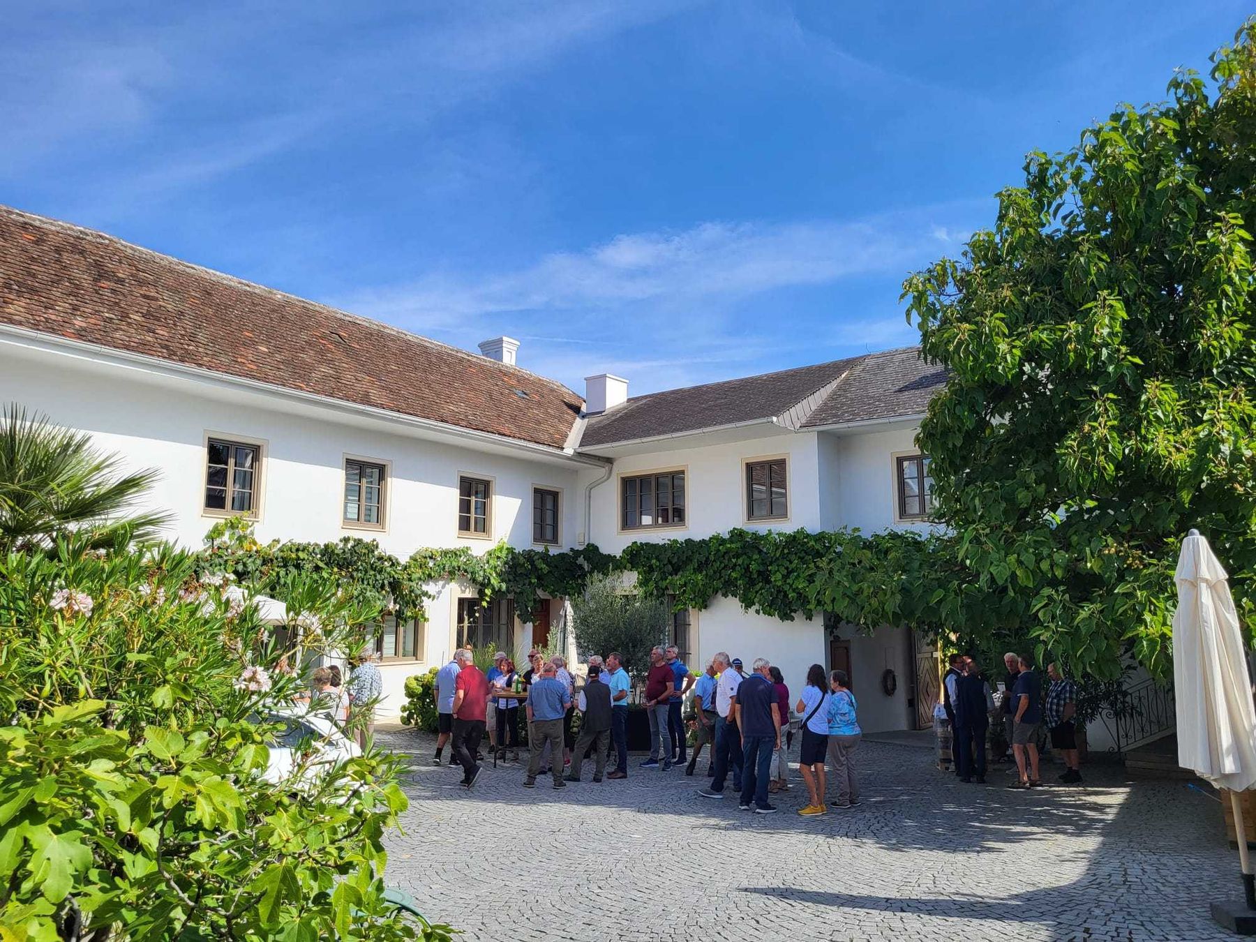 © BWV Mistelbach © BWV Mistelbach