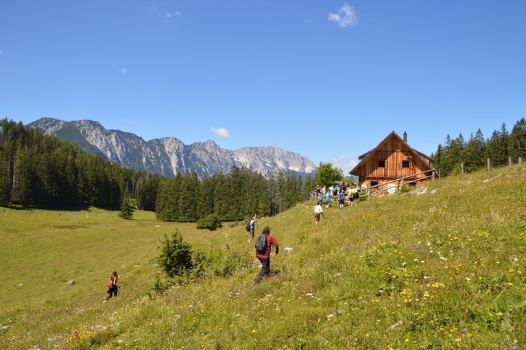 DSC_0057_LKOOE_SchaumbergalmHuetteMitWandererUndVieh_klein.jpg © LK OÖ, Limberger
