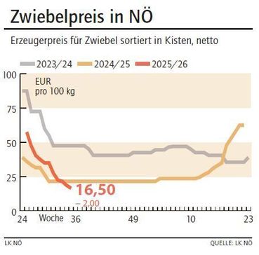 Grafik Zwiebelpreis 35_2025.jpg © LK NÖ