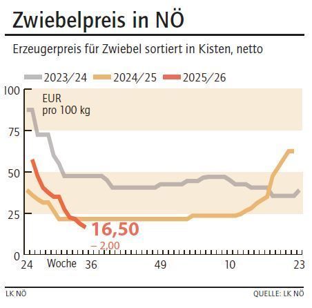 Grafik Zwiebelpreis 35_2025.jpg © LK NÖ