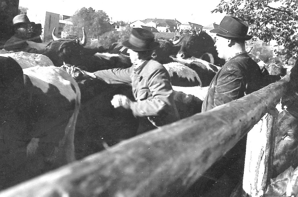 heimat oberndorf.jpg © Archiv