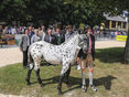 Tigermarkt 2025 © Pferdezuchtverein P9